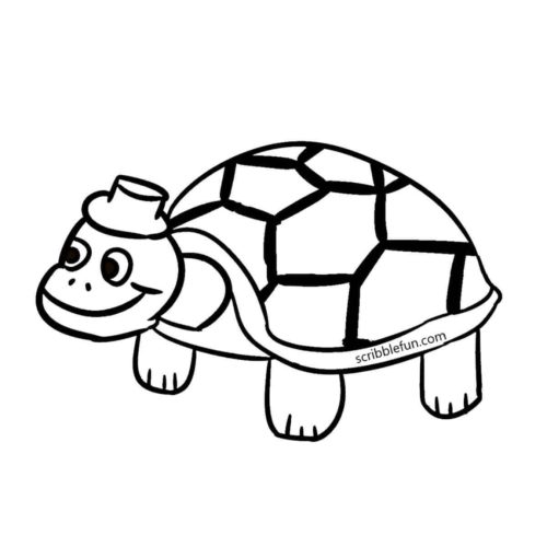 Old and experienced turtle