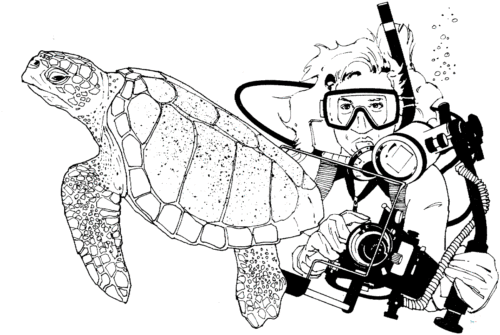 Scuba Diver with a turtle