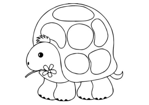 Turtle carrying a flower
