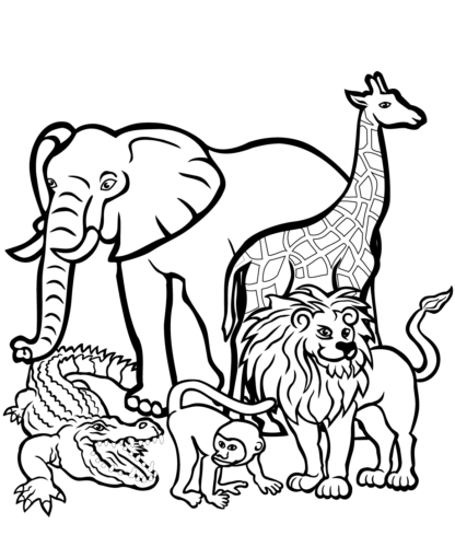 Lion With Other African Animals