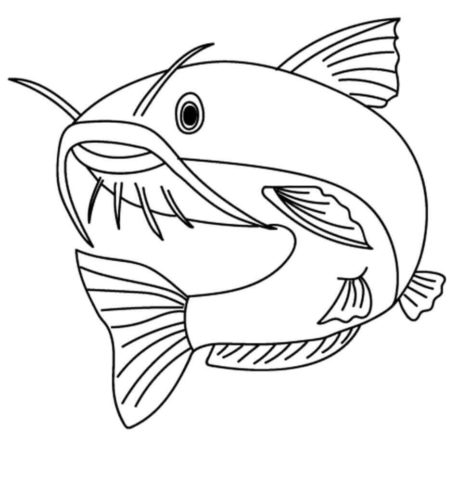 Catfish Coloring Page