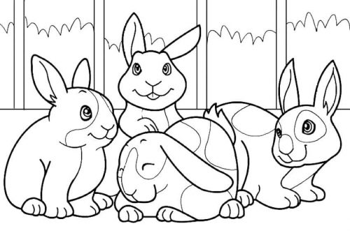 Bunnies Coloring Pages