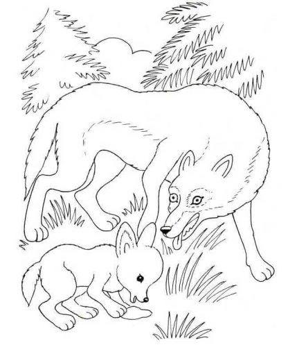 wolf cub and mother wolf