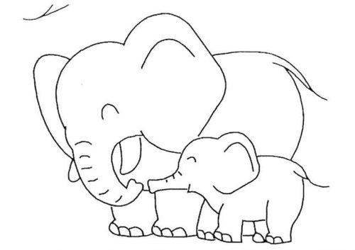 Baby Elephant With Mommy Elephant
