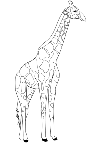 Realistic Giraffe Coloring Page