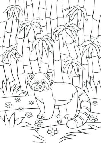 Red Panda Coloring Printable