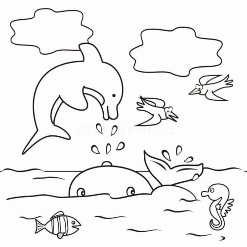 Dolphin Coloring Images To Print