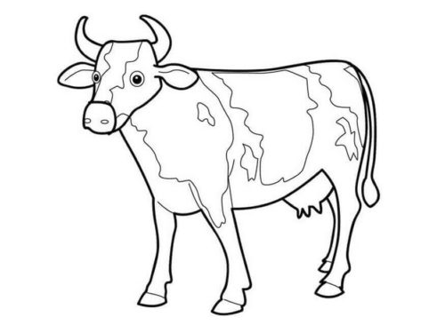 Cow Coloring Pages For Kids