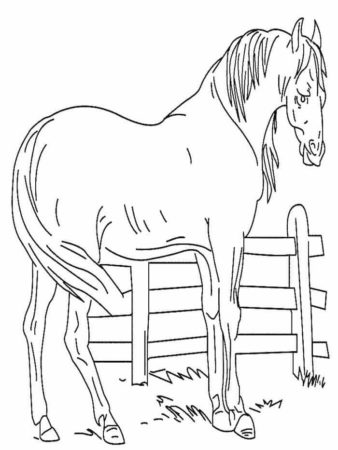Horse At Stable Coloring Page