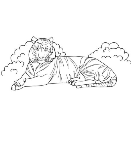 Indo Chinese Tiger coloring page