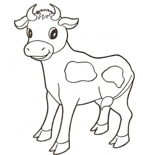 Baby Cow Coloring Sheet