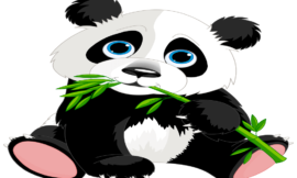 30 Free Panda Coloring Pages Printable